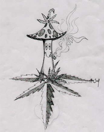 Id love to post my art, small videos, idea, suggestiobs, songs of the week, ect. Shroomery - oldimages/18205/21342.jpg