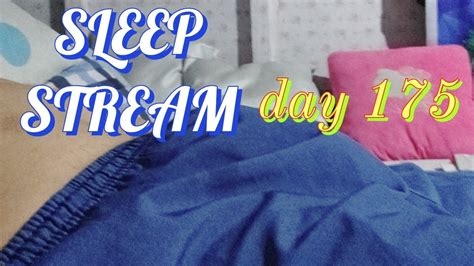 Sleep Stream Day 175 Youtube