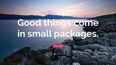 Aesop Quote “good Things Come In Small Packages”