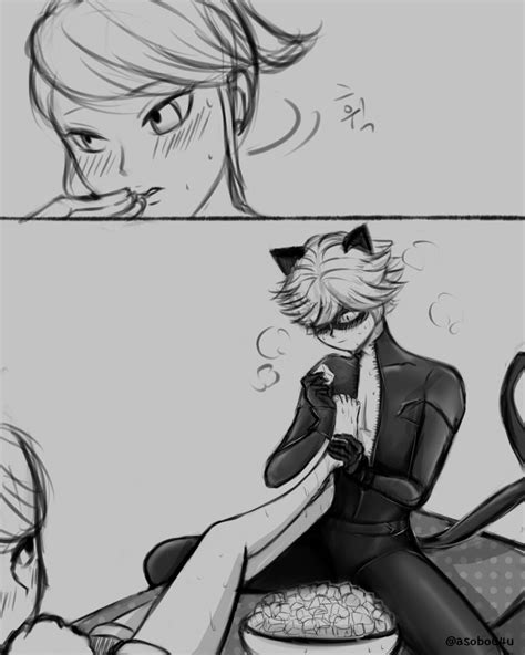 CARAPACE EDNEDAPHNE Google Search Miraculous Ladybug Funny