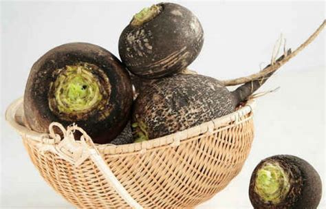 Cara memasak akar teratai hitam. Sifat hitam lobak yang berguna dan berbahaya