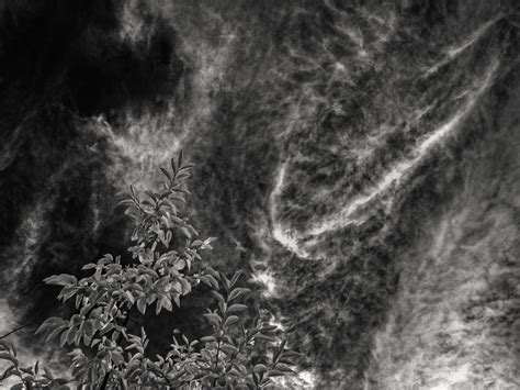 Free Images Black And White Texture Darkness 365