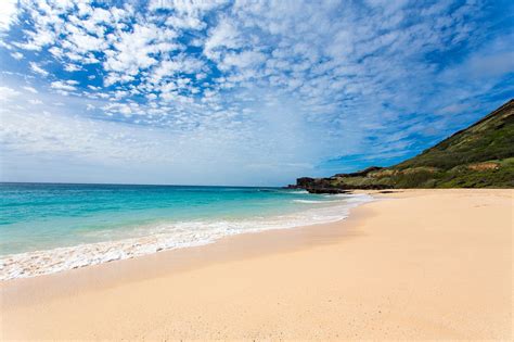 Best Beaches On Oahu Oahu Beaches Beaches In The World Turtle Bay