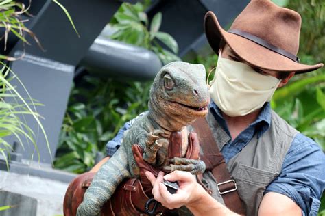 Raptor Encounter Meet And Greet Debuts In New Location At Islands Of