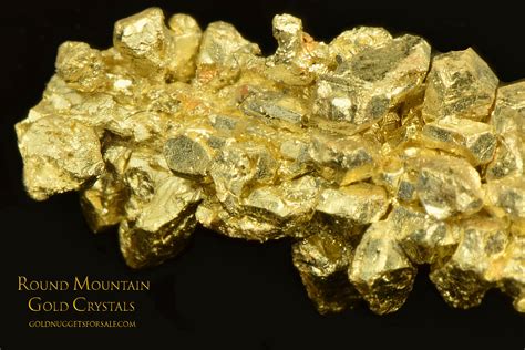 Brilliant Mass Of Gold Crystals Fantastic Gold Specimen 000