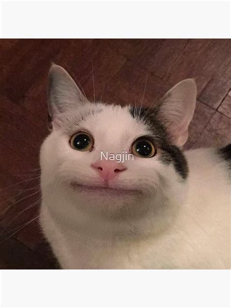 Beluga Cat Sticker For Sale By Nagjin Redbubble
