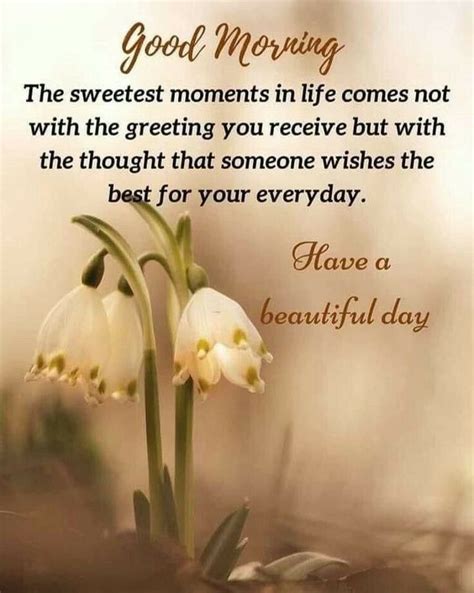 Pin By Merle B On Morning Quotes Rise N Shine Beautiful Morning