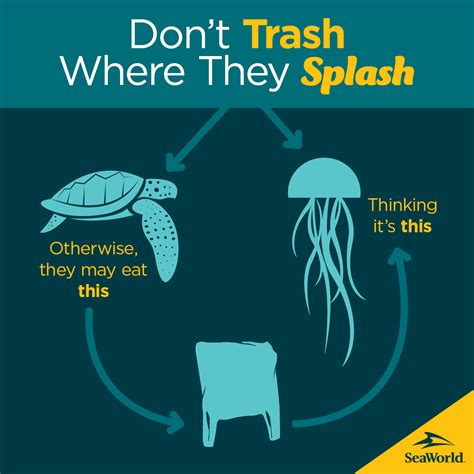 To A Sea Turtle Plastic Bags Look Like A Quick Meal Please Recycle