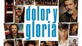 'Dolor i glòria', la pel·lícula escollida pels Òscars