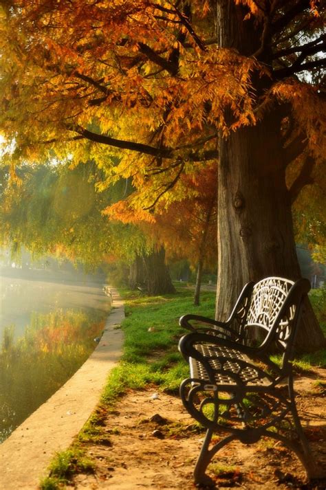 Autumn In The Park Nature Photography Autumn Scenery Landscape