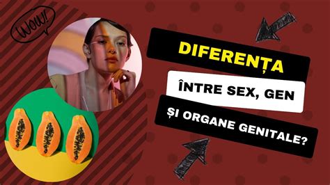 Sex Gen Si Organe Genitale Youtube