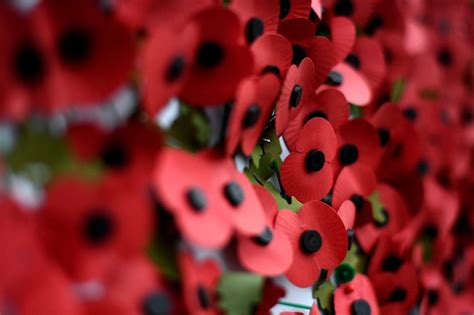 When Should You Stop Wearing A Poppy After Remembrance Day