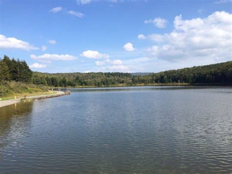 Spruce Knob Lake One Unique Fishery Wv Metronews