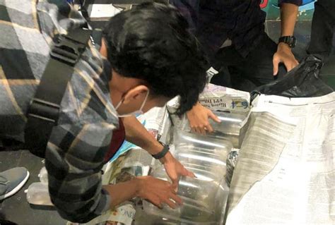 Bea cukai mataram dorong pengusaha tembakau setempat untuk membangun kawasan industri hasil tembakau (kiht). Operasi Gempur Rokok Ilegal, Bea Cukai Jambi Gagalkan Penyelundupan Benih Lobster - Daerah JPNN.com