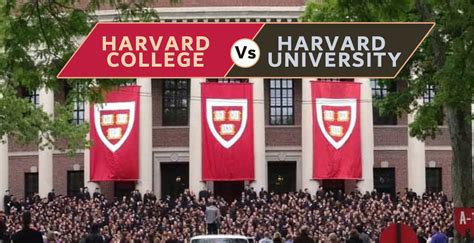 Harvard College Vs Harvard University Diferenças E Comparação
