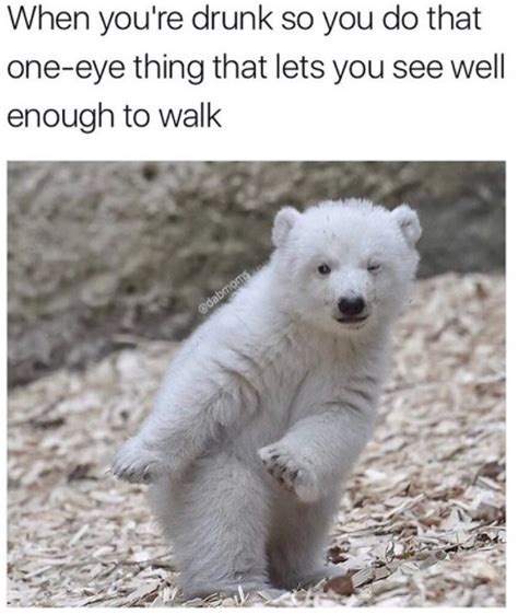 45 Funny Animal Memes Thatll Make You Laugh Till You Cry