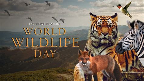 World Wildlife Day Magellantv