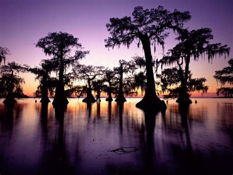 The Sun Is Setting Behind Some Trees On The Waters Edge With Purple