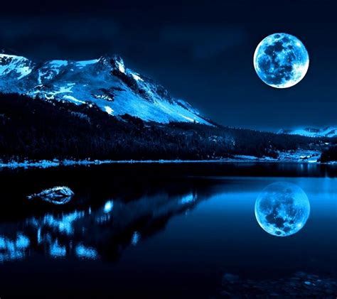 Full Moon In A Winter Night Wallpaper Download 1080x960