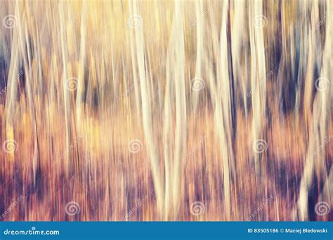 Motion Blurred Autumn Forest Abstract Nature Background Stock Photo