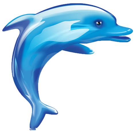 Cartoon Media Cartoon Dolphin Png