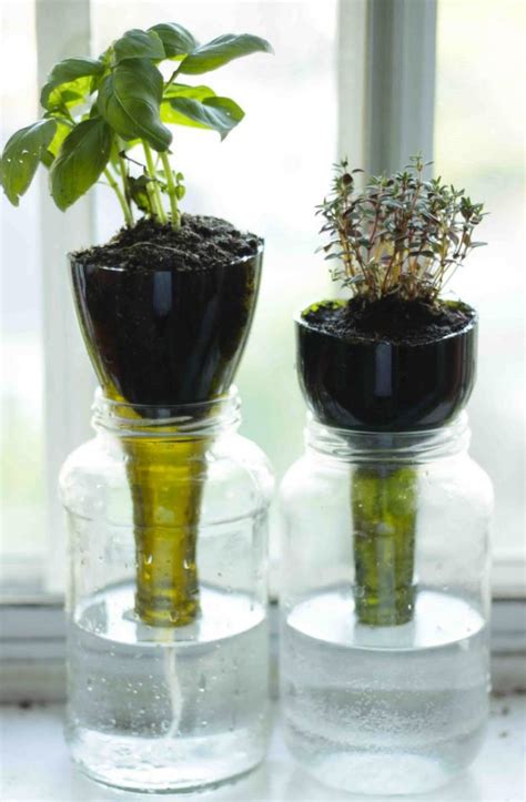 Diy Self Watering Seed Starter Pots 8 Easy Steps The Owner Builder