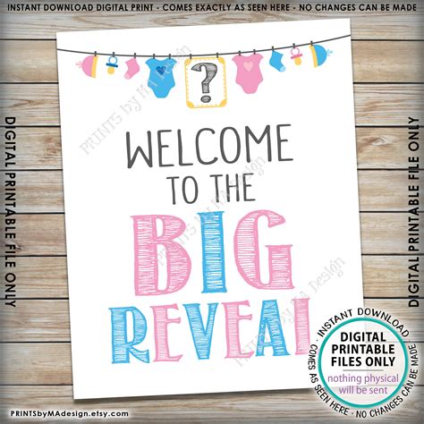 Welcome To The Big Reveal Gender Reveal Sign Pink Or Blue Gender