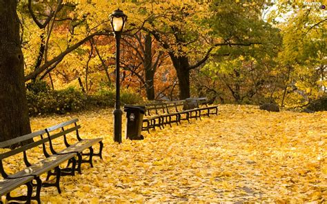 Park Leaf Autumn Bench Beautiful Views Wallpapers 1920x1200