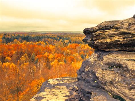 Sandstone Rock Formation In The Middle Of Autumn Forest Stock Image