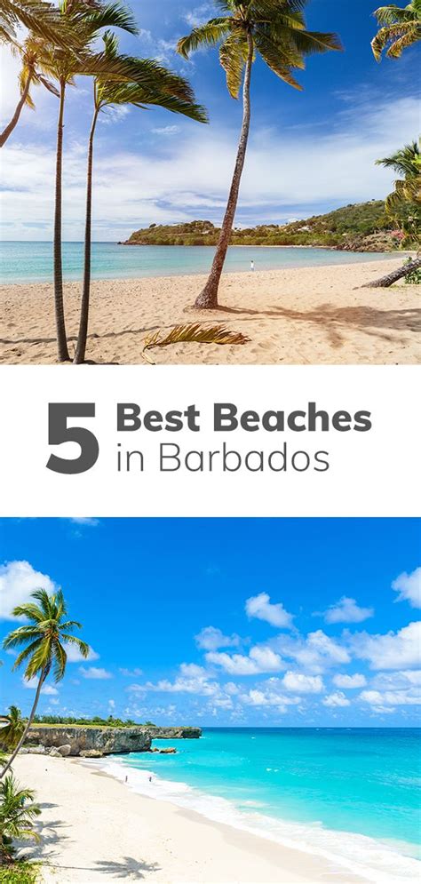 5 Best Beaches In Barbados Island Vacation Barbados Travel Barbados Beaches