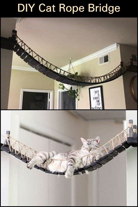 Diy Cat Rope Bridge A Great Way To Make Your Cats Relax Your