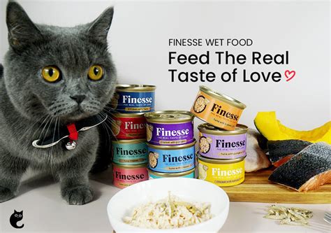 When free feeding becomes a problem. Why You Should Start Feeding Your Feline Finesse Grain ...