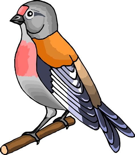 Free Cartoon Birds Images Download Free Cartoon Birds Images Png