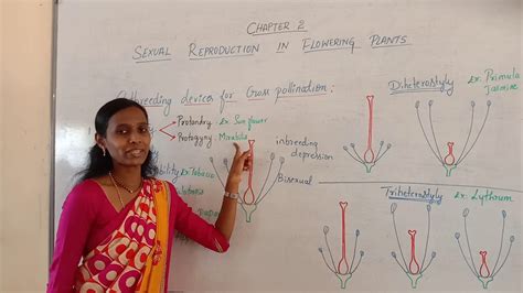 Learn vocabulary, terms and more with flashcards, games and other study tools. Class 12: Outbreeding devices for cross pollination - YouTube