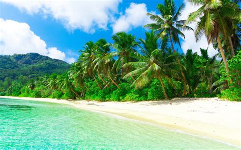 Download Wallpaper For X Resolution Tropical Paradise Beach Coast Sea Palm Trees