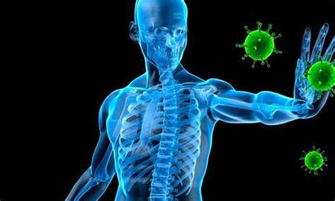 Efectos Del Estrés En El Sistema Inmune Snc Pharma