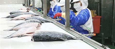 Anyong Employs Cas Freezing To Enhance Post Thaw Seafood Quality