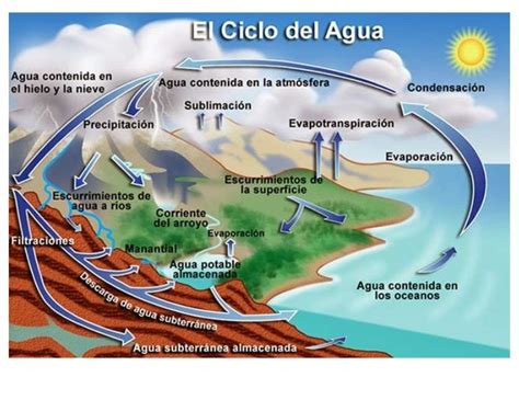 Lamina Ciclo Del Agua