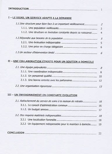 Exemple De Rapport De Stage Bac Pro Tcva Hinatapedia