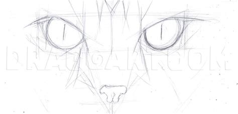How To Draw Cat Eyes Step By Step Drawing Guide By Duskeyes969