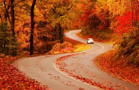 6 Fall Road Hazards And How To Avoid Them