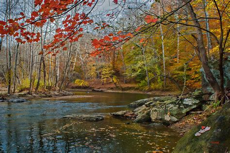 Patapsco River Fall Foliage Photograph By Dana Sohr Pixels