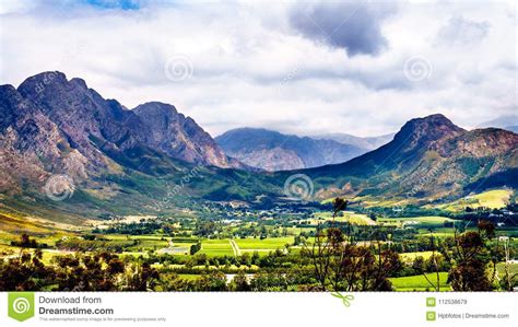 Franschhoek Valley In The Western Cape Province Of South Africa With