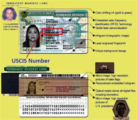 What Is Uscis Number On Green Card
