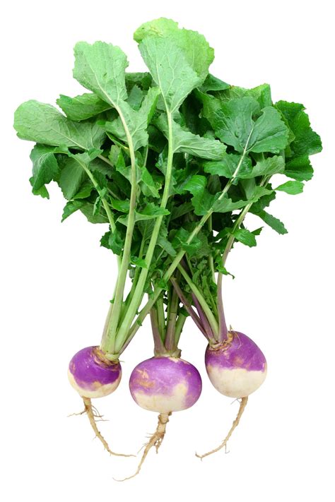 Nutritional Value Of Turnip Greens Nutrineat