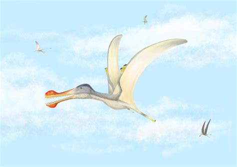 Three New Species Of Flying Reptiles Discovered Pterosaurs That