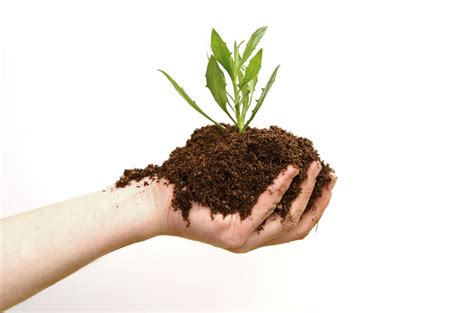 Soil Reversible Organic Fertilizer Agilix International Hot Sex Picture