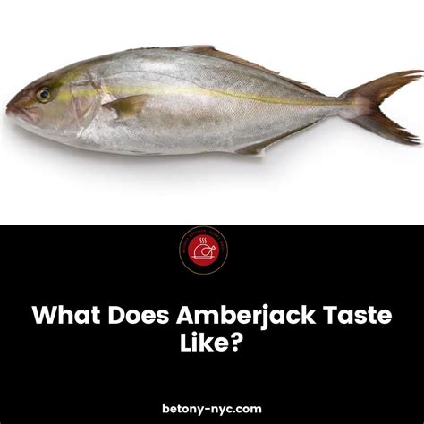 What Does Amberjack Fish Taste Like Betony
