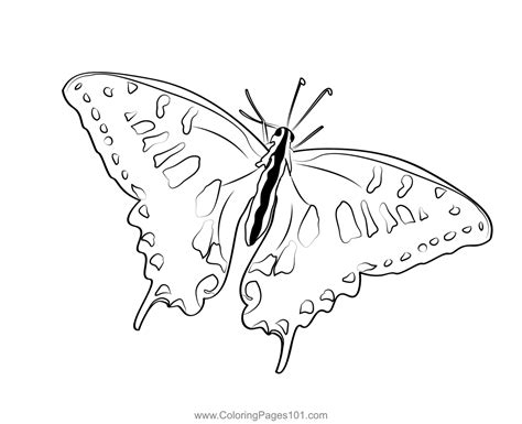 Butterfly Coloring Page Swallowtail Butterfly Coloring Sheet The Best