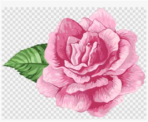 Flores Rosas Png Clipart Garden Roses Clip Art Flor Rosa Em Png